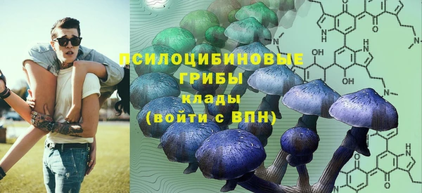 ALPHA-PVP Алексеевка