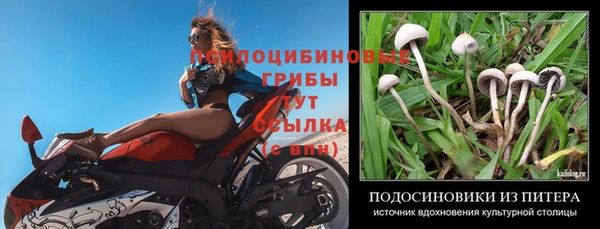 бутират Алзамай
