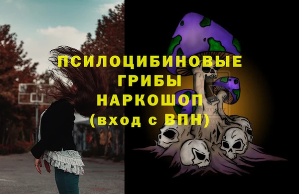 mdpv Алексин
