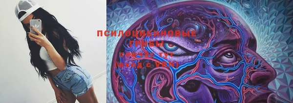 ALPHA-PVP Алексеевка