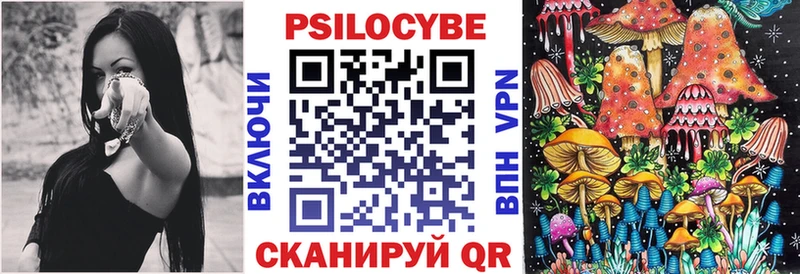 ссылка на мегу как войти Кыштым Галлюциногенные грибы мицелий
