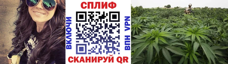 закладка  Кыштым  Бошки марихуана Bruce Banner 